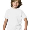 Hanes Boys Tagless ComfortSoft Crewneck T-Shirts