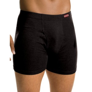 Hanes Mens TAGLESS Boxer Briefs with ComfortSoft Waistband 2-Pack