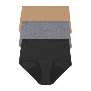Hanes Womens Fresh & Dry Moderate Period Underwear Brief 3-Pack