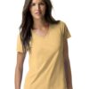 Hanes Womens Nano-T V-Neck T-Shirt