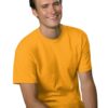 Hanes Mens Everyday Short Sleeve Crewneck T-Shirt