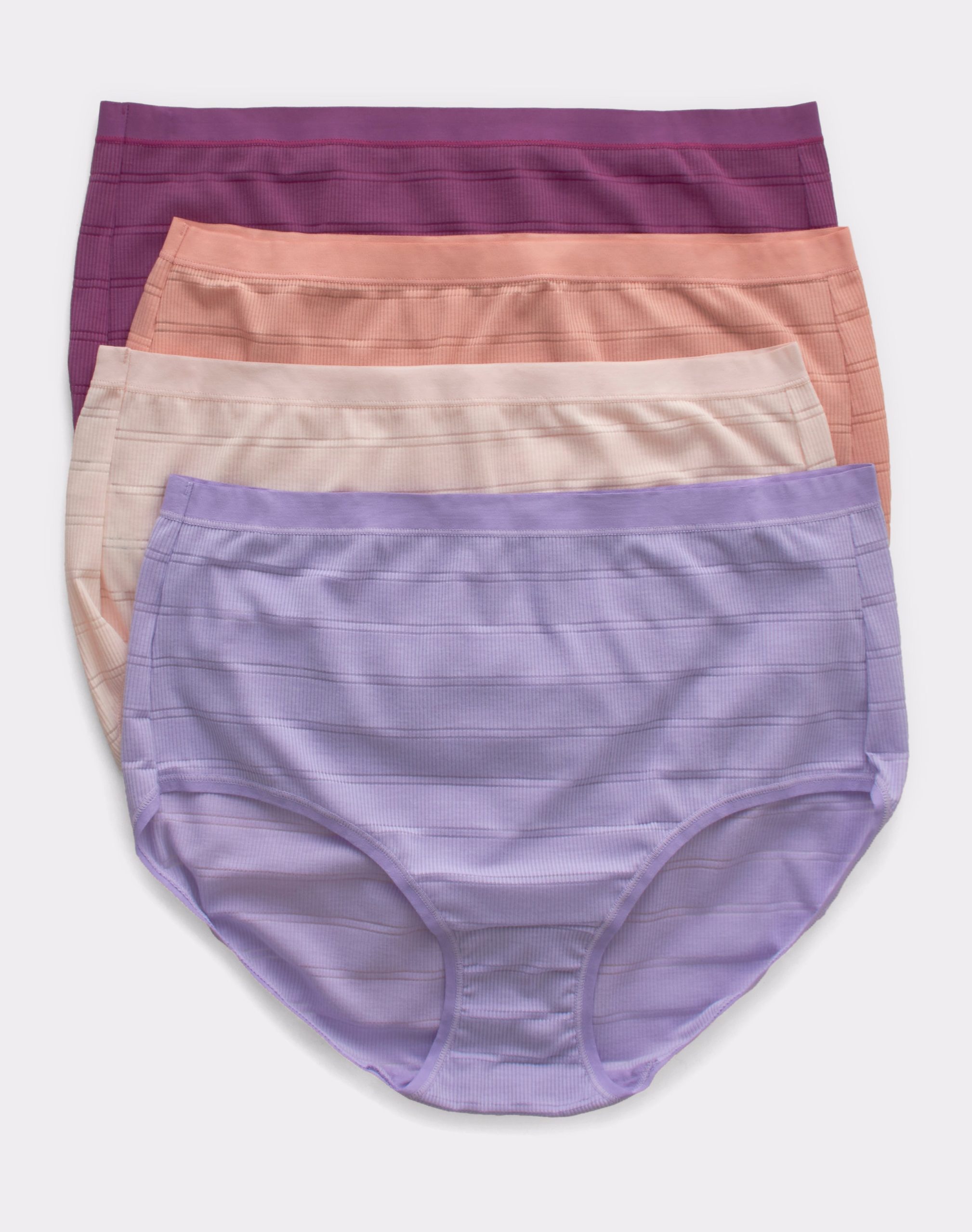 Hanes Ultimate Women's High-Waisted Brief Underwear, 4-Pack White/Silver  Shadow/Ballerina Slipper/Misty Lilac 9 