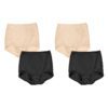 Hanes Womens Smoothing Brief With Tummy Control Panel 4-Pack - Apparel  Direct Distributor