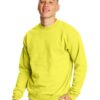 Hanes Mens EcoSmart Fleece Crewneck Sweatshirt
