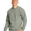 Hanes Mens EcoSmart Fleece Crewneck Sweatshirt