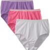 Women's Heather Brief Panty, Assorted 3 Pack