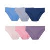 Women's 360 Stretch Seamless Bikini Panty, Assorted 6 Pack